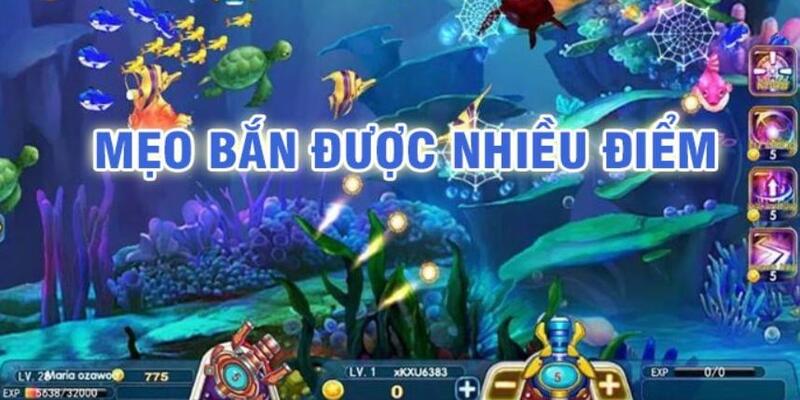 cwin01 đá gà