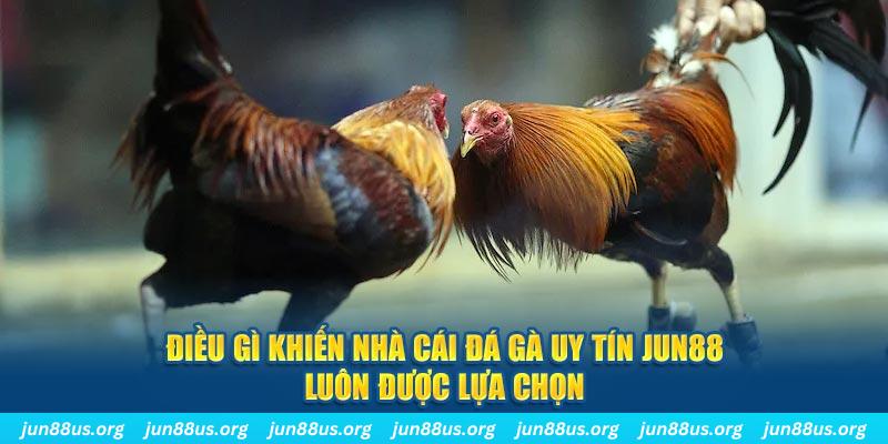 cwin01 bắn cá 30