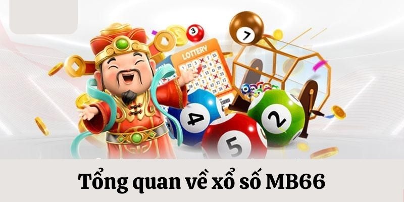 cwin01 slot là gi