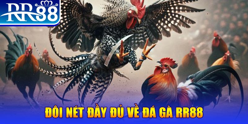 cwin01 1 slot là gì