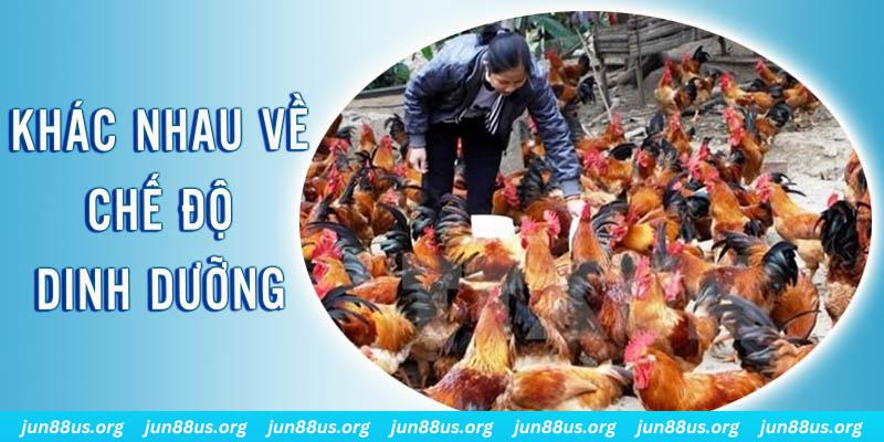 cwin01 xổ số thứ sáu hàng tuần