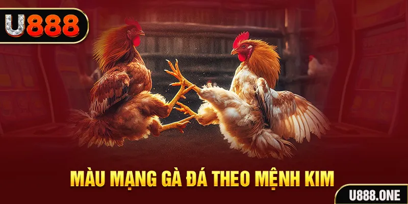cwin01 gà chọi tiêu phong