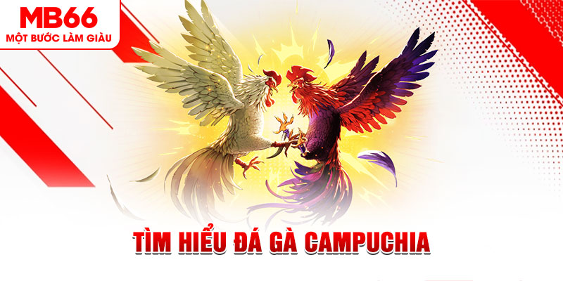 tại sao không tải được nổ hũ