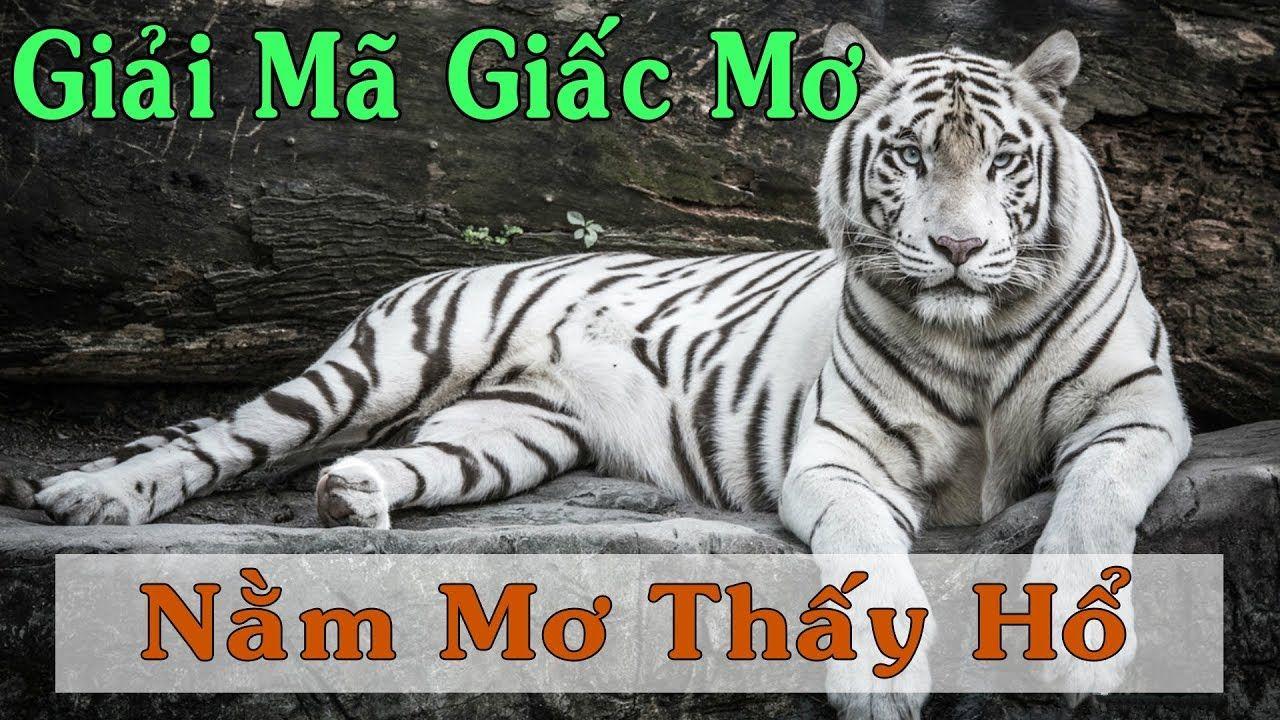 cwin01 xổ số miền trung