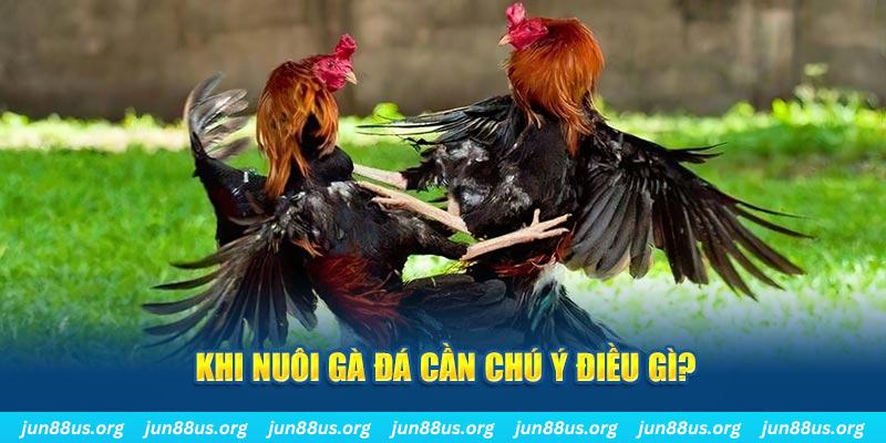 cwin01 ban ca vip online