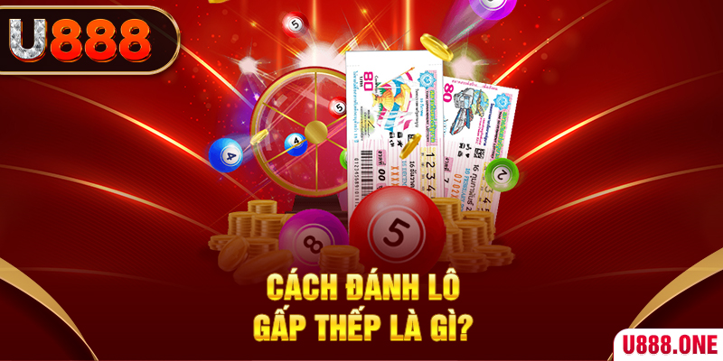 cwin01 nỗ hủ là gì