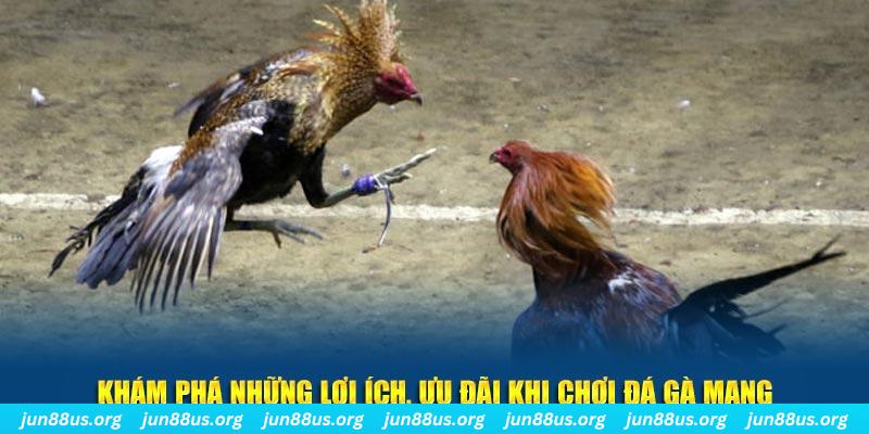 cwin01 Tài Xỉu 2