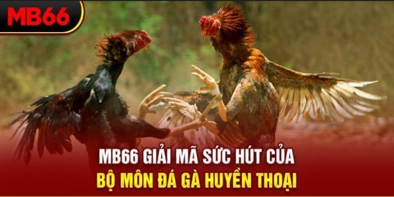 cwin01 long bảo trong baccarat là gì