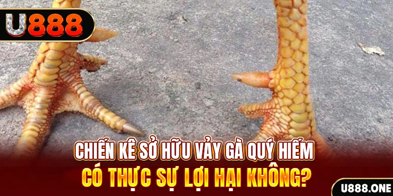 game cá cược máy bay