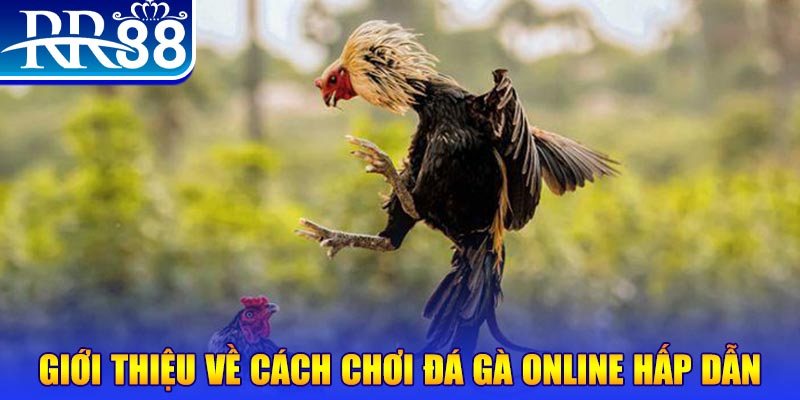 cwin01 nổ hũ 2 mặt là gì