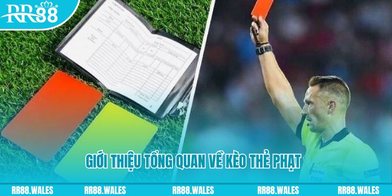 cwin01 đá gà trực tiếp c1